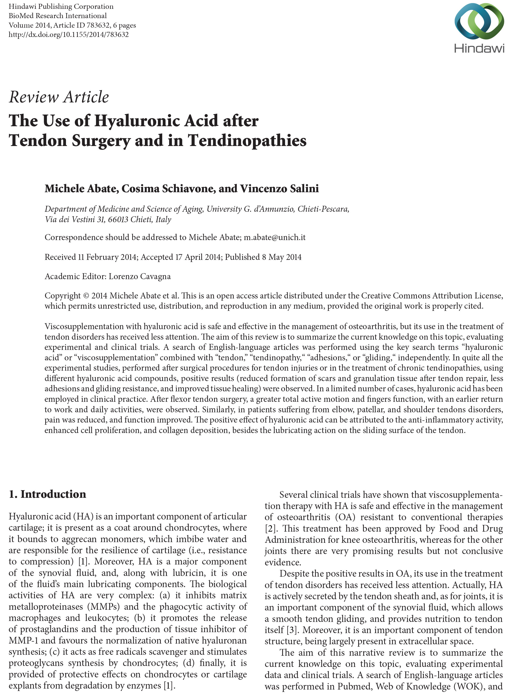 The-Use-of-Hyaluronic-Acid-after-Tendon-Surgery-and-in-Tendinopathies-1.jpg